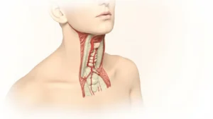 Substance blanche médullaire : anatomie et pathologies
