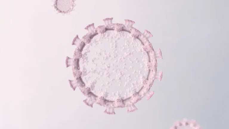 Virus de l&rsquo;hépatite E génotype 3 : transmission et symptômes