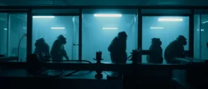Virus de l'herpès B : caractéristiques et transmission